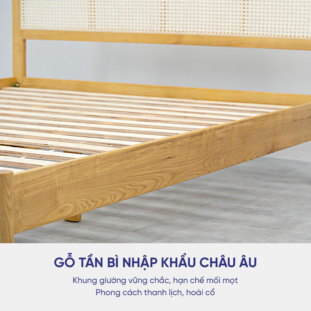 Giường gỗ Tần Bì Amando Hestia nhập khẩu châu Âu, chất lượng bền bỉ, khả năng chống cong vênh và mối mọt tốt