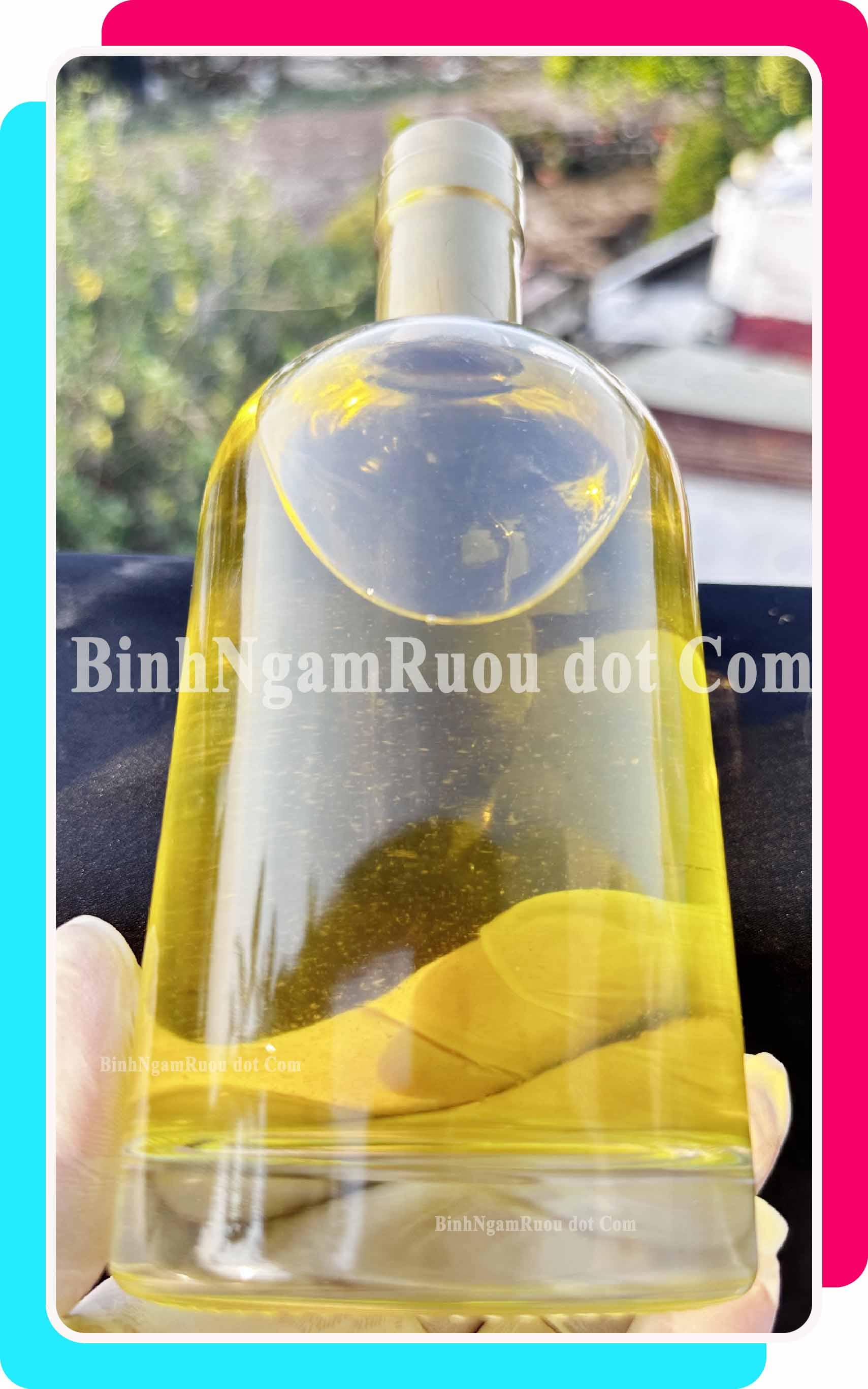 [Mua 10 Tặng 2 ] C40 Chai Đựng Rượu Thủy Tinh Hình Tròn Bầu Cao Cấp 500ml - Đẹp Cao Cấp - Nắp Kín Thủy Tinh Trong - Tặng Biếu Sang Trọng