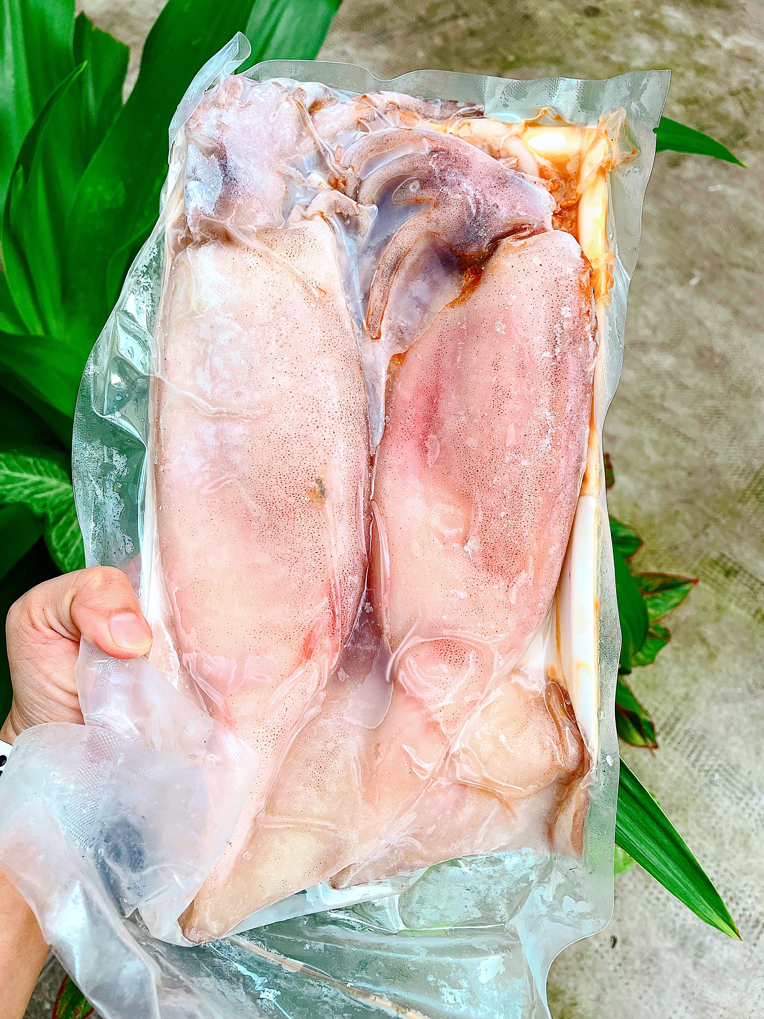 MỰC ỐNG SIZE LỚN