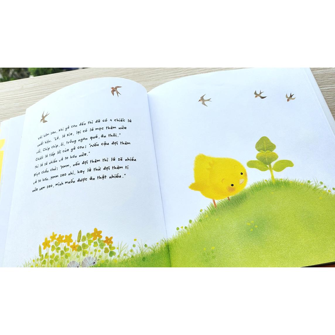 Sách Gà con và hoa hướng dương