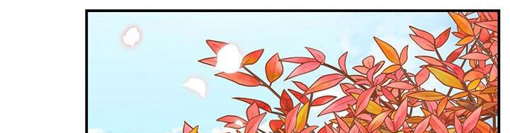 công chúa của loài chim chapter 49.1 422