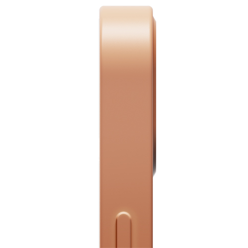 Ốp Native Union CLIC POP Magnetic dành cho iPhone 13/ 13 Pro/ 13 Pro Max - Hàng chính hãng