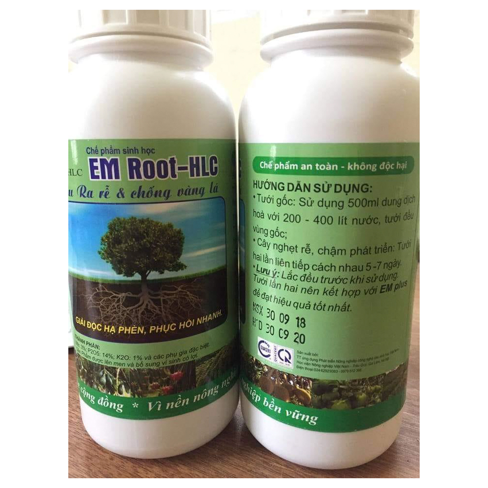 Siêu ra rễ giúp cây bắn rễ tơ chống nghẹt rễ, thối làm cây chậm phát triển-76121