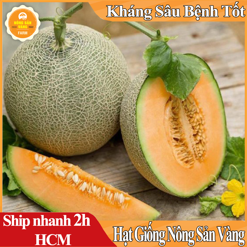 Hạt giống Dưa Lưới Ruột Vàng