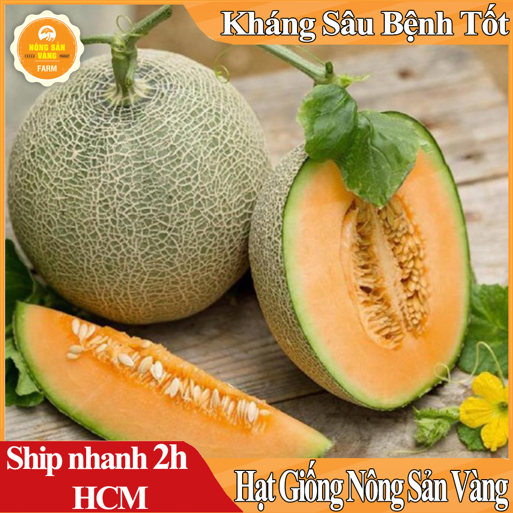 Hạt giống Dưa Lưới Ruột Vàng ( Gói 20 hạt ) - Nông Sản Vàng