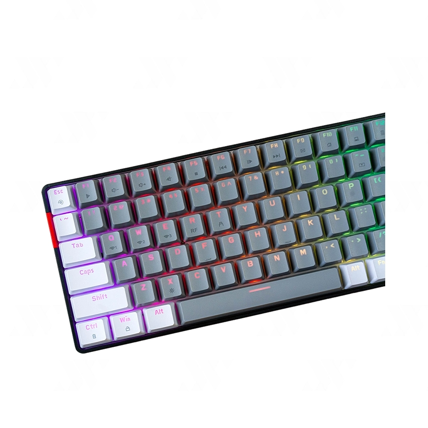 Bàn phím cơ Gaming E-Dra EK384 Triple Mode Alpha / Beta - Hàng chính hãng