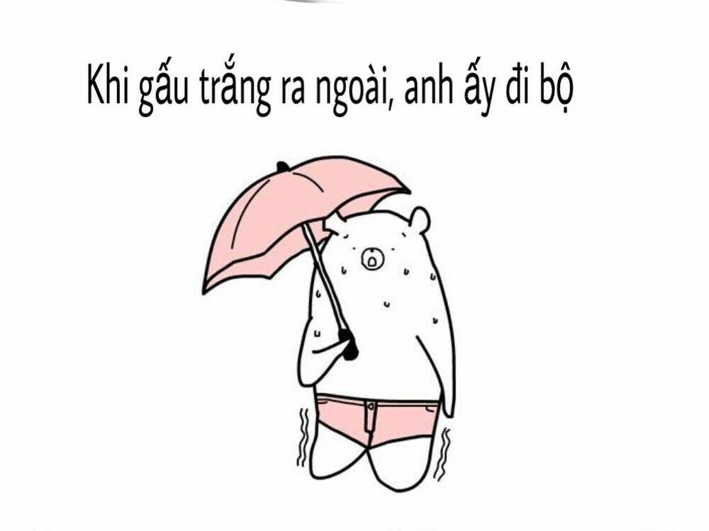 the life of the three bears chapter 1 7