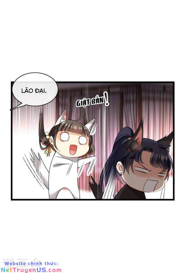 nụ cười của nàng liền ngọt đảo ta tám viên nha chapter 62 13