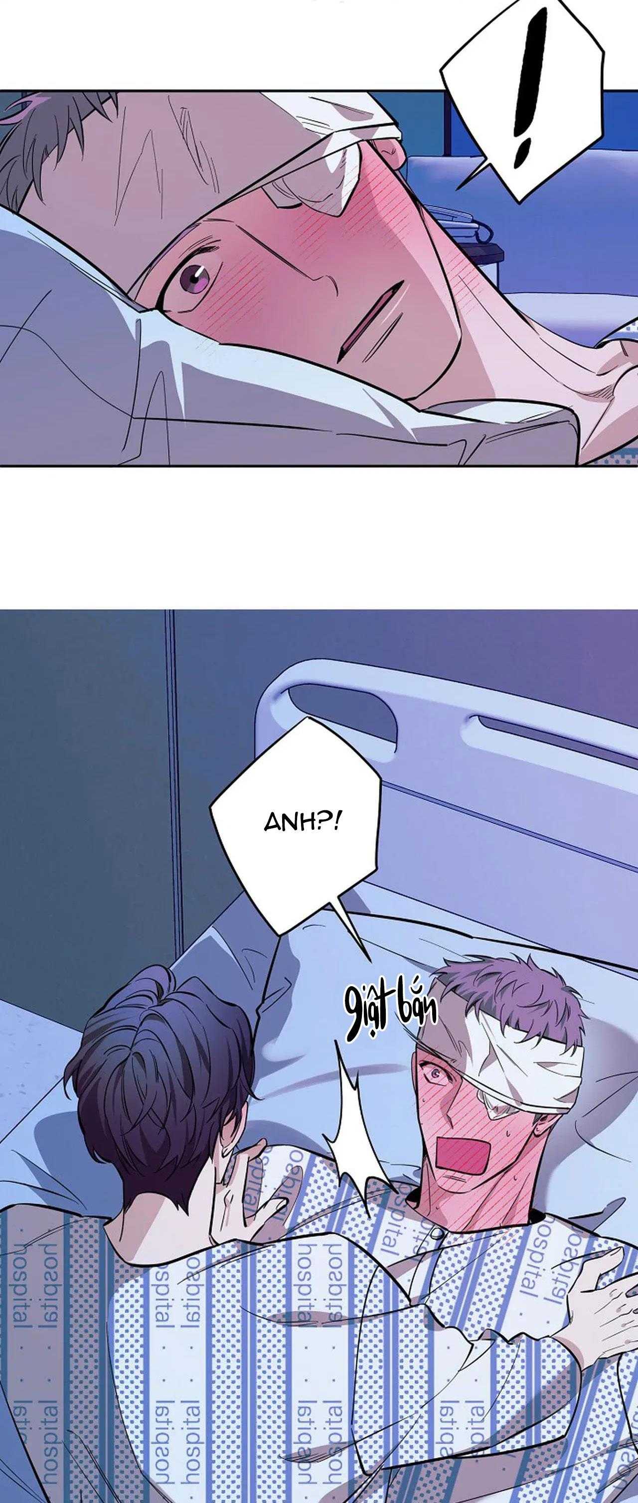 đêm dịu dàng chapter 71 31