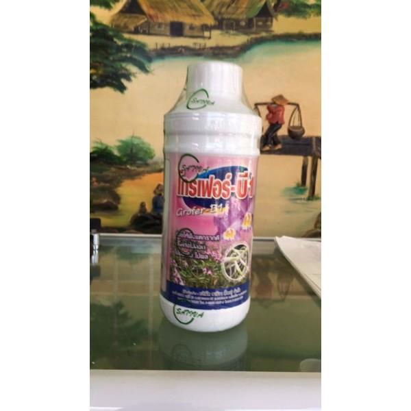 Phân bón lá kích rễ cao cấp Vitamin B1 Grofer Thái Lan Chai 1 lít