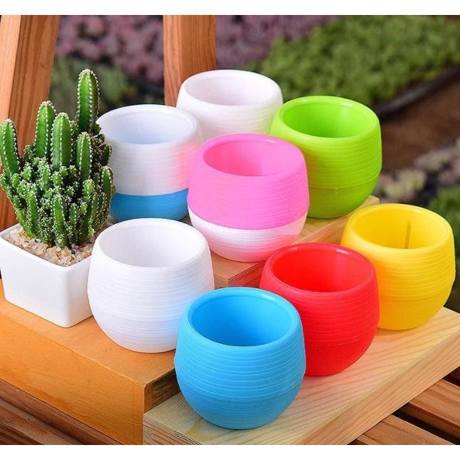 Chậu hoa mini trang trí- Chất liệu nhựa PVC bền đẹp