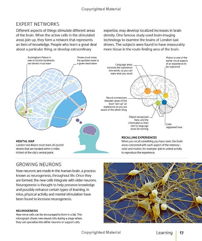 The Brain Fitness Book: Activities And Puzzles To Keep Your Mind Active And Healthy