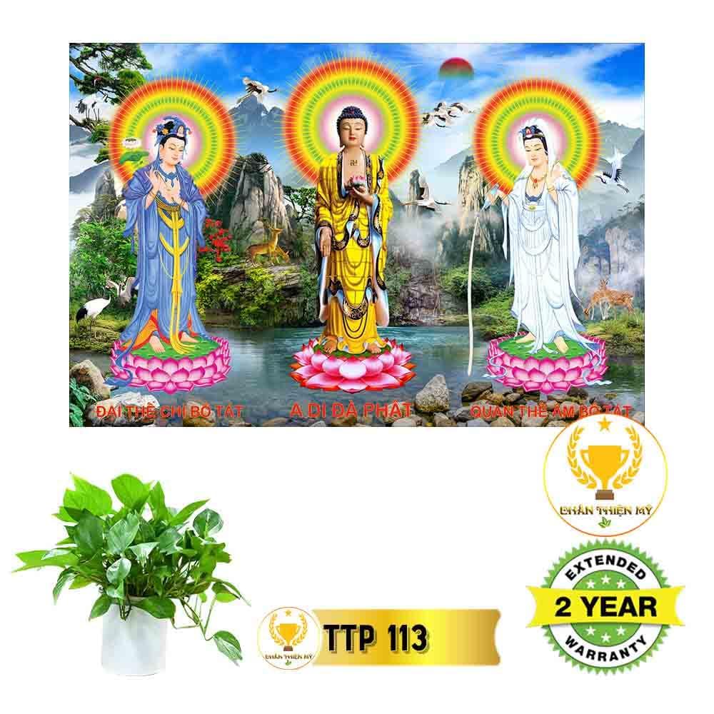 Tranh Tam Thế Phật có khung_TTPK9