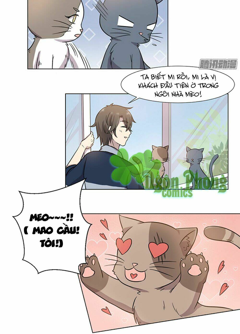 hai chú mèo totem chapter 30 7