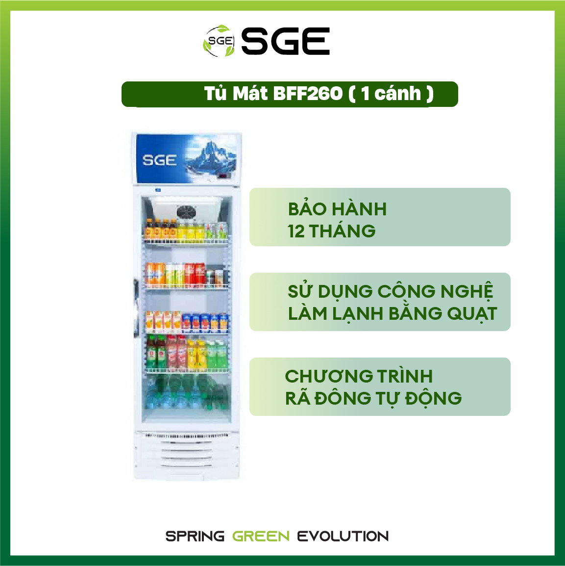 Tủ Mát Model BFF Đủ Kích Thước 1,2,3 Cánh SGE Làm Mát Thực Phẩm Và Đồ Uống Nhanh Tiết Kiệm Điện Giá Hấp Dẫn. Hàng Chính Hãng SGE