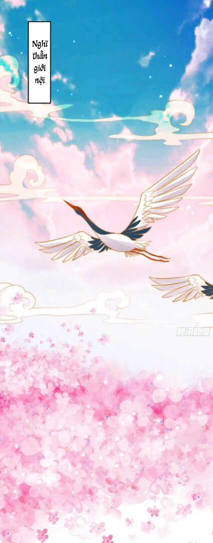 đế tôn cuồng sủng: thần y đặc công phế tài phi chapter 2 3