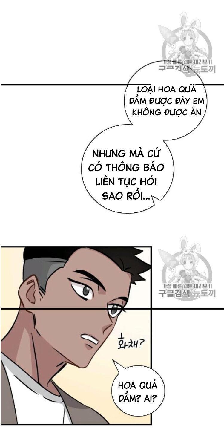 tôi lên cấp chỉ bằng cách ăn chapter 49 16