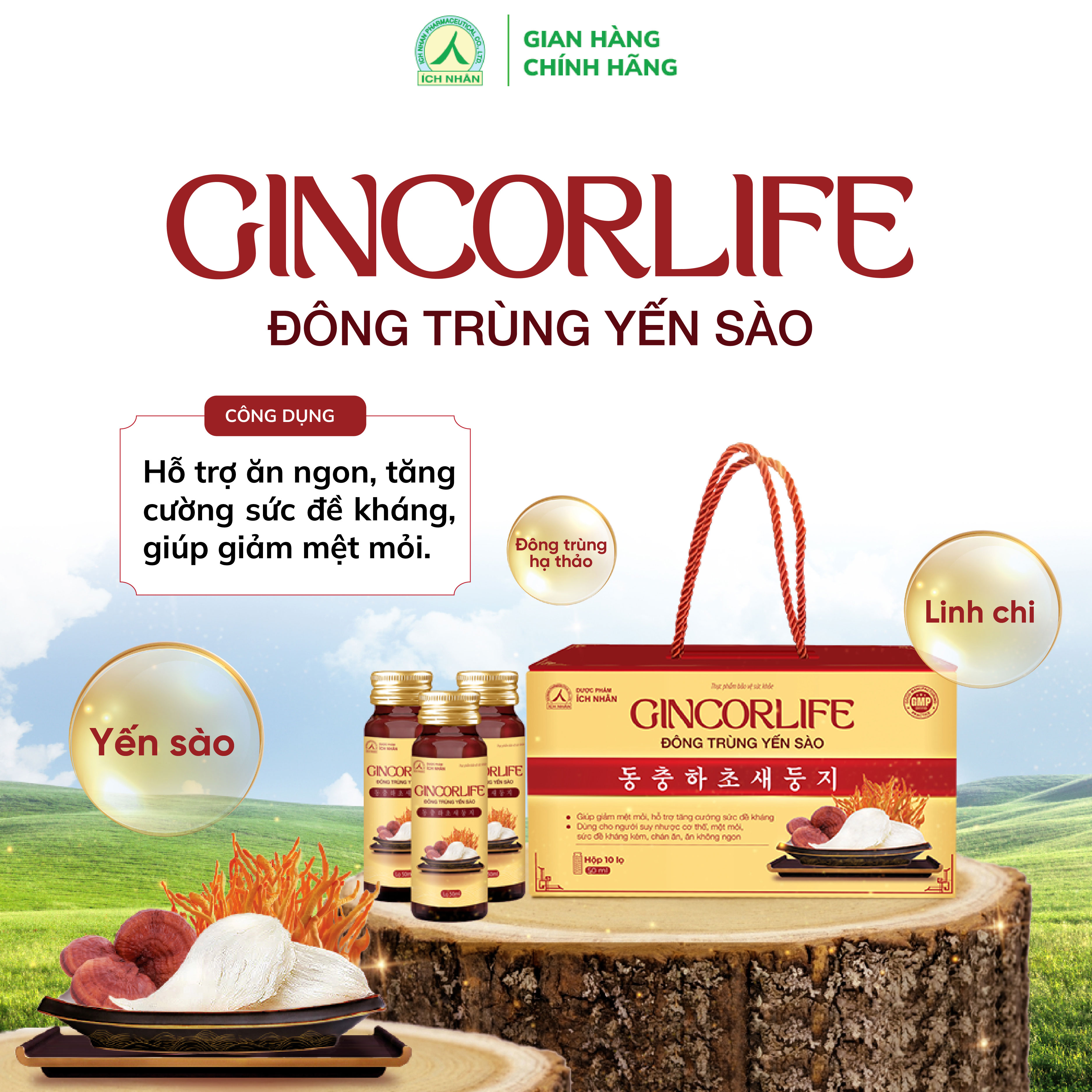 Nước hồng sâm GINCORLIFE Đông Trùng Yến Sào tăng cường sức đề kháng, giảm mệt mỏi, ăn ngon hơn hộp 10 chai x 50ml