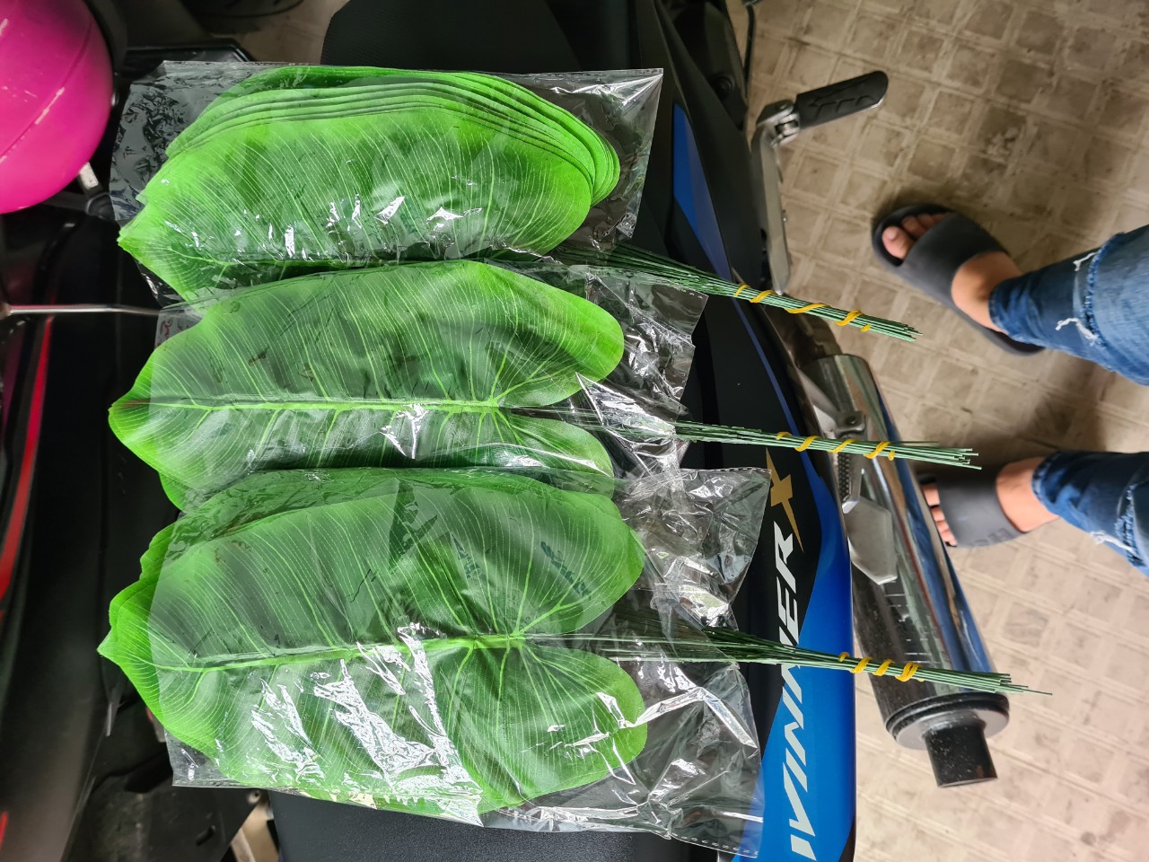 Lá Giả Trang Trí Nhà Cửa sân vườn quán Lá trầu bà đế vương xanh