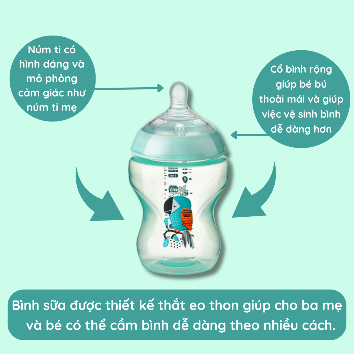 Bình sữa ty siêu mềm tự nhiên Tommee Tippee Closer to Nature 260ml, núm ty đi kèm 3-6 tháng – Xanh ngọc (Bình đôi)