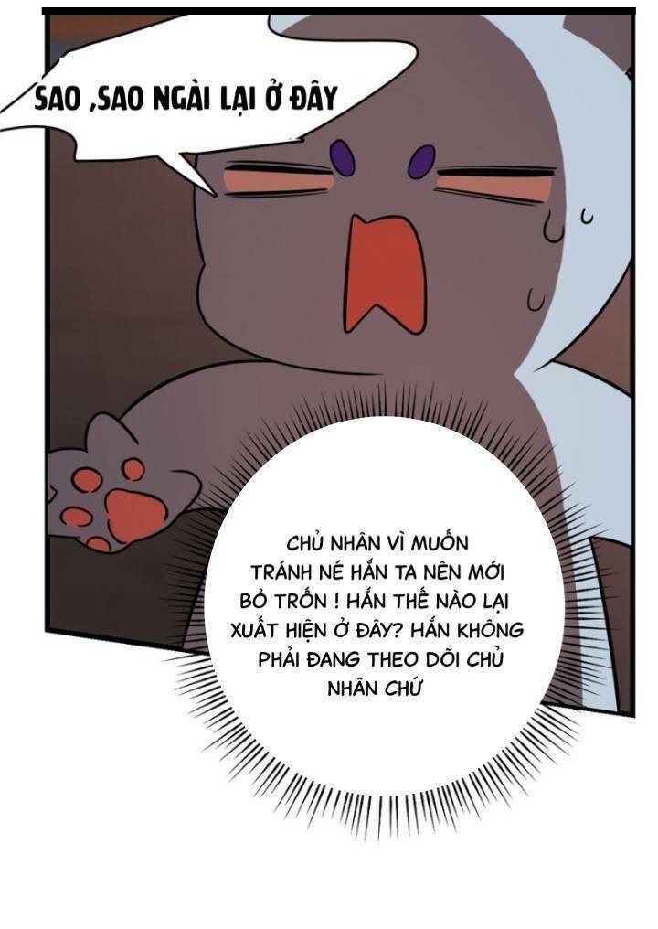 độc bộ thiên hạ: đặc công thần y chapter 155 12