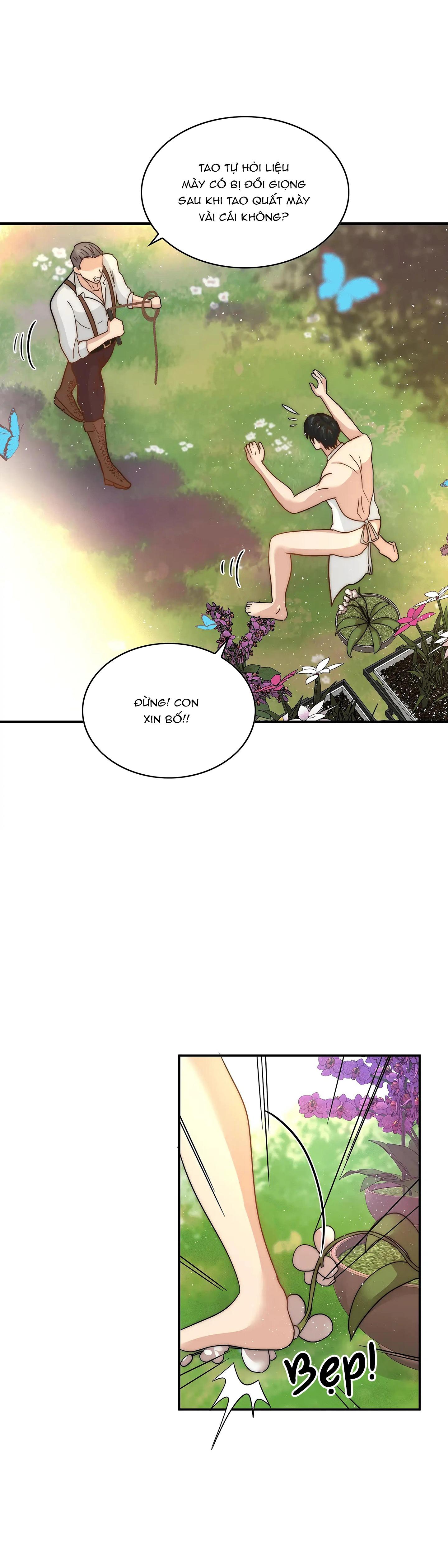 cinderella chapter 5 2