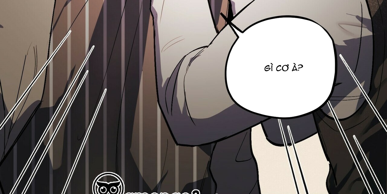 chàng dâu nhà họ kang chapter 2 232