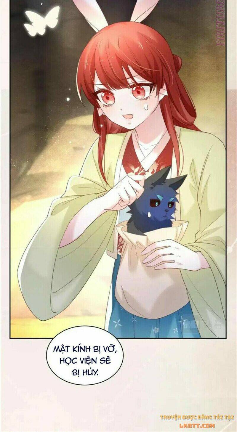 hắc hóa nam chính trực tuyến nuôi thỏ chapter 54 23