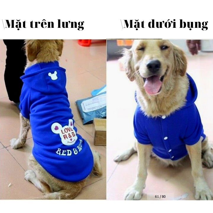 ÁO HOODIE CHO CHÓ RED AND BULL DÀNH CHO CHÓ LỚN - SP000604