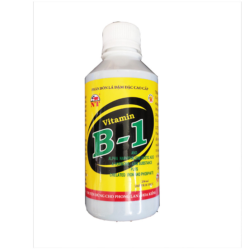 Vitamin B1 chuyên kích ra rễ và hoa cho cây cảnh và phong lan (chai 250ml)