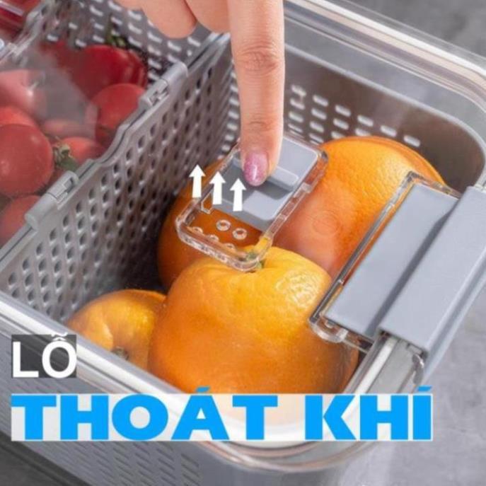 (SIÊU HOT) Hộp Đựng Thực Phẩm Tủ Lạnh 2 Lớp SHIMOYAMA Có Lỗ Thoát Nước, Có Khóa Thoát Khí, Dễ Dàng Bảo Quản Rau Củ