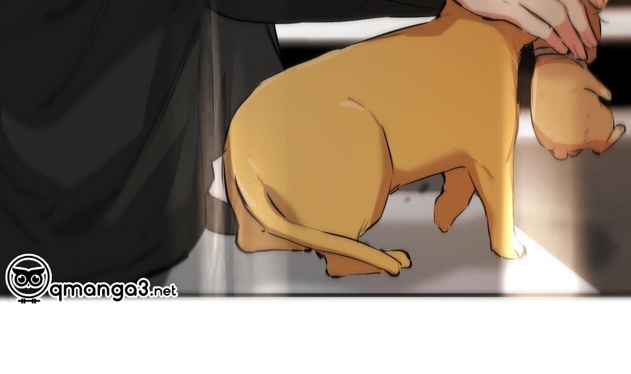 đàn thỏ của habibi chapter 50 213