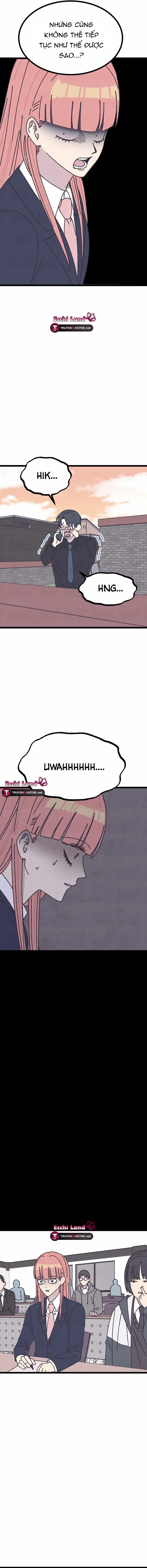 quy luật màu hồng tồi tệ chapter 1.1 6