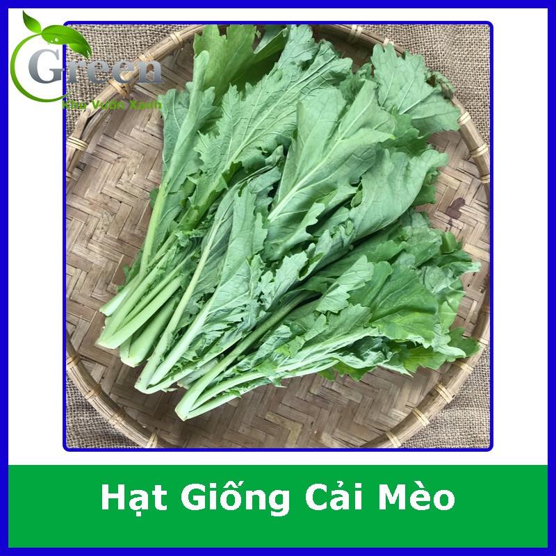 Hạt Giống Rau Cải Mèo