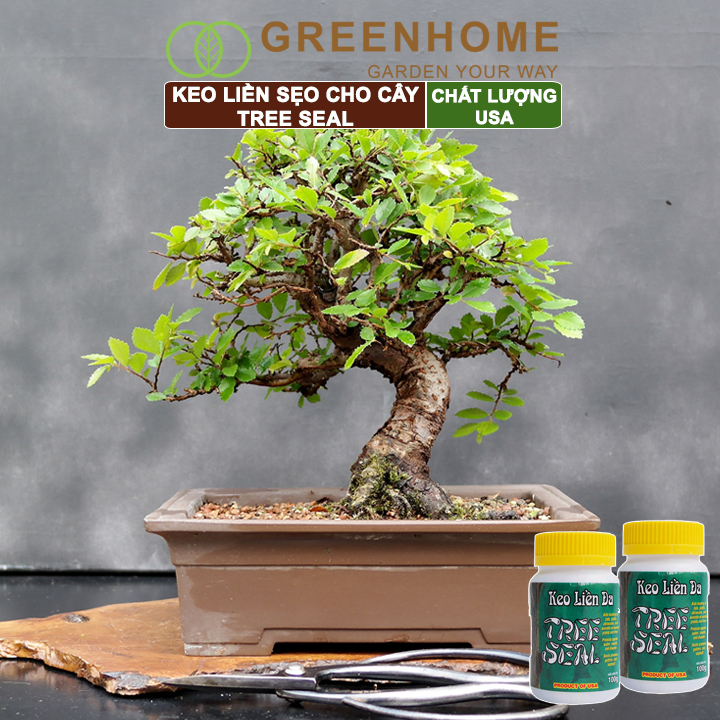 Keo liền sẹo cho cây Tree Seal, chai 100gr, hỗ trợ chiết cành, tạo dáng, bảo vệ vết cắt |Greenhome