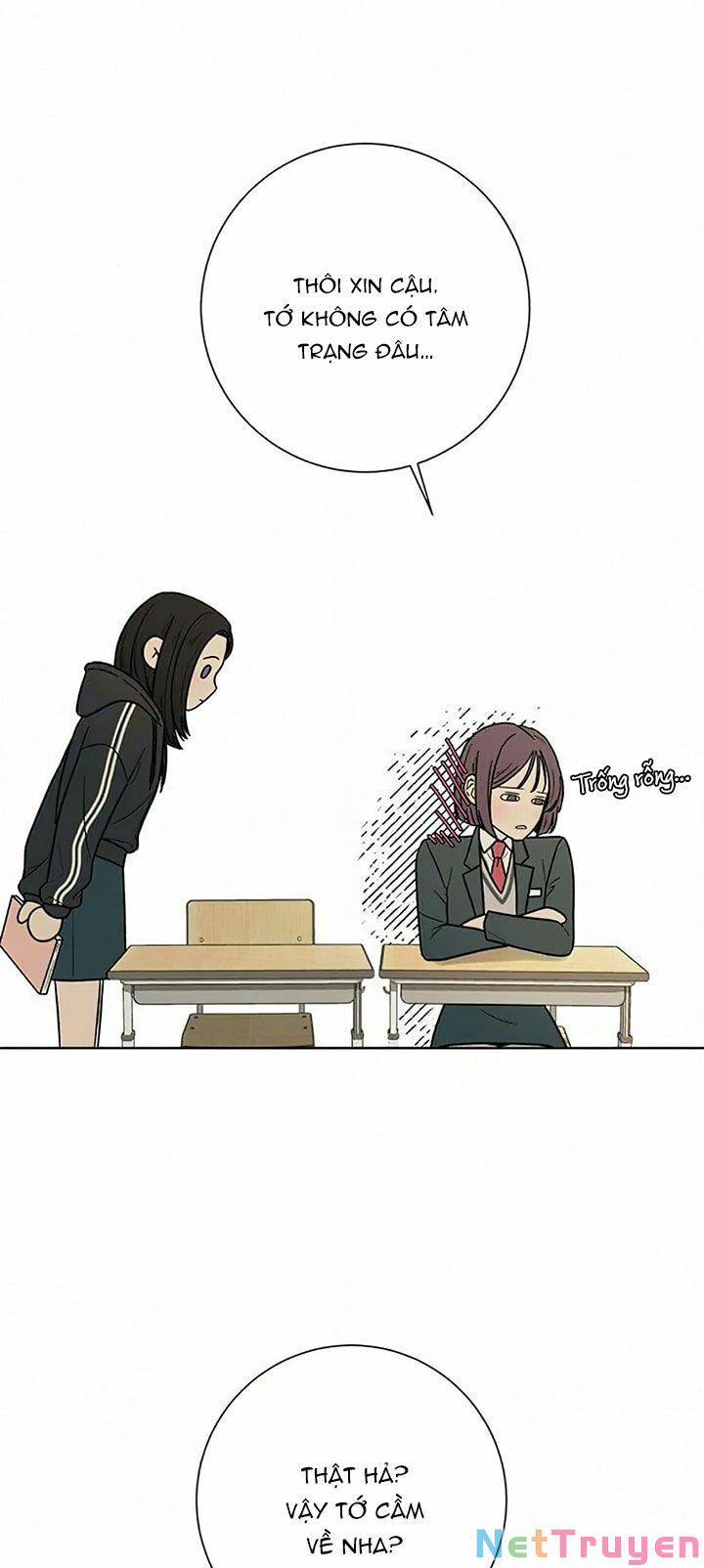 chiến lược: tình yêu trong sáng chapter 9 29