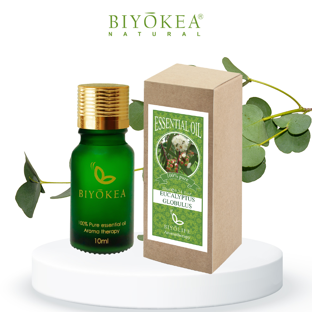 Tinh Dầu Khuynh Diệp Biyokea