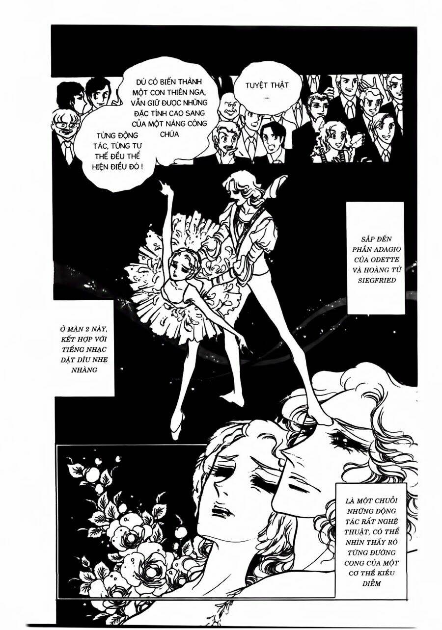 swan - vũ khúc thiên nga chapter 41 18