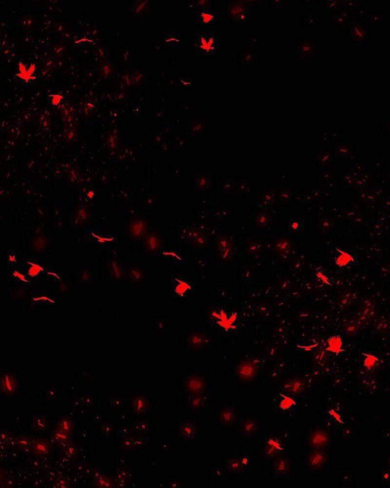 tử thần chapter 28 120