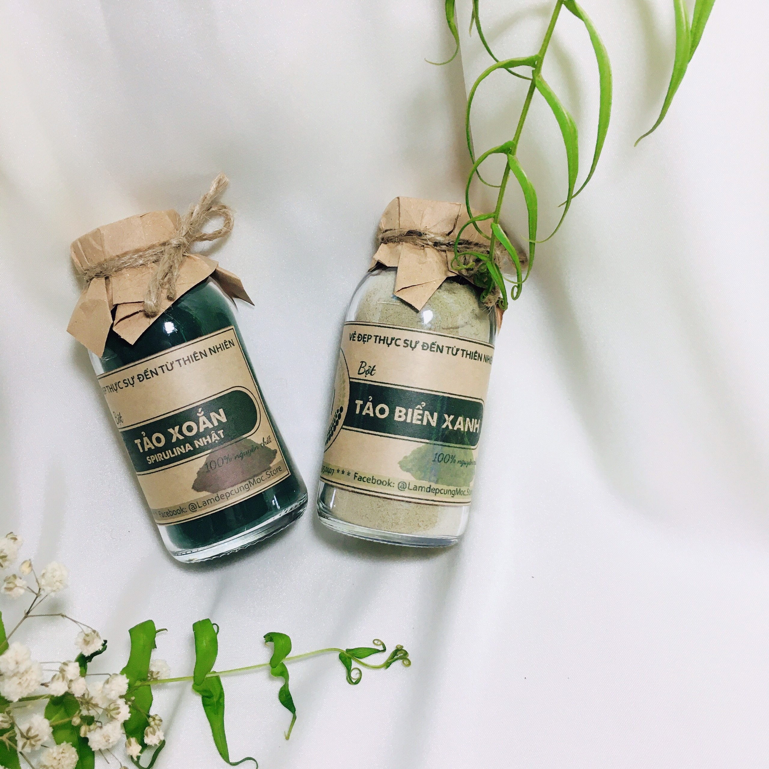 Bột đắp mặt Tảo Biển chống lão hóa nguyên chất 100ml