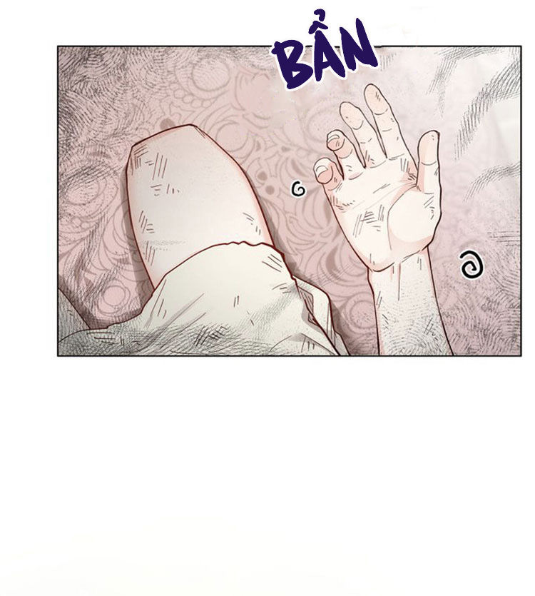 tìm lại nàng camellia chapter 2 37