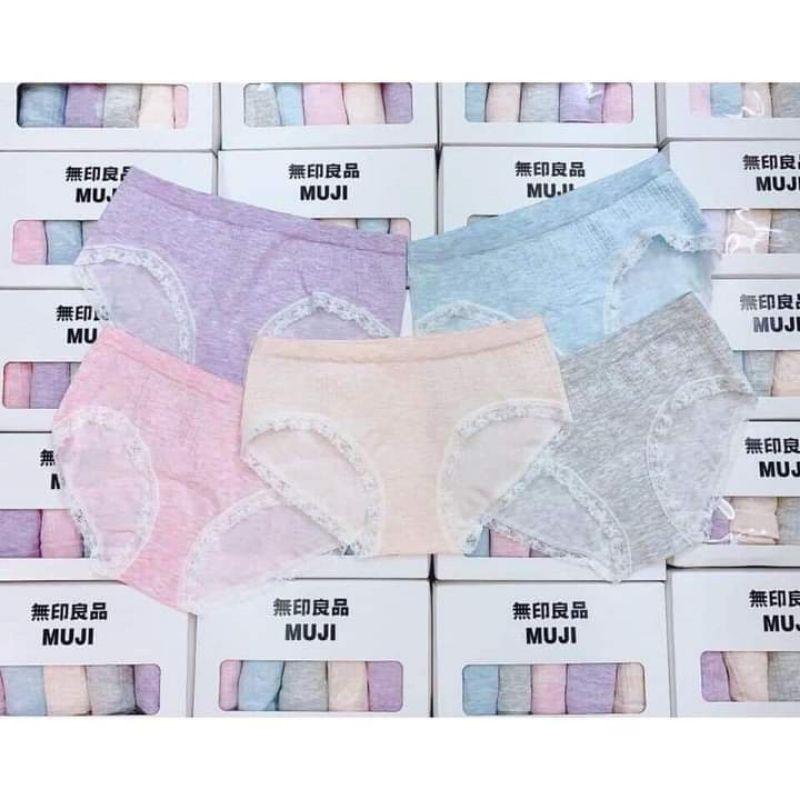 Chuyên sỉ lẻ hộp 5 Quần cotton 365 Dệt Kim kháng khuân Full Hộp Trắng Chính hãng