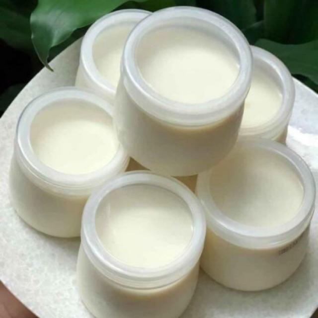 100 hũ sữa chua 120ml