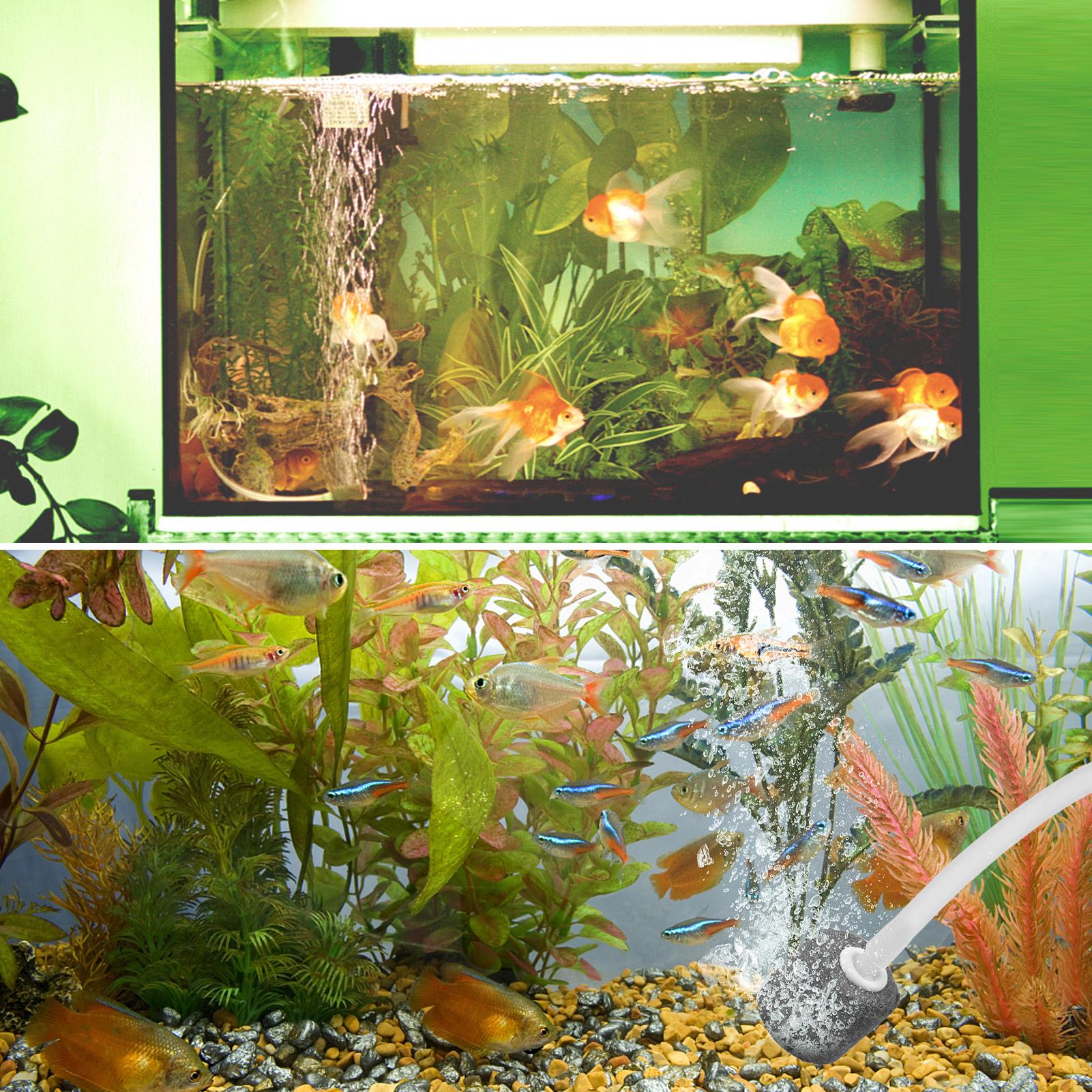 5.5V 1.5W Solar Air Pump Fish Tank Oxygenator with Aquarium Pipe & Air Bubble Stone Outdoor Pond Oxygen Pump Aerator
