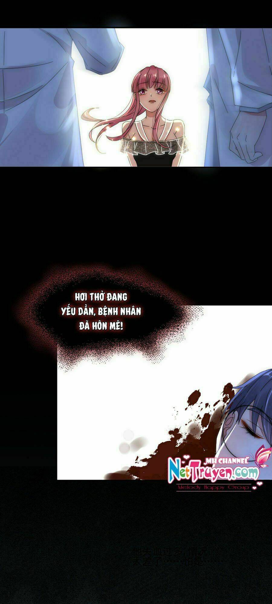 hoàn mỹ lão công tiến hóa luân chapter 95 24