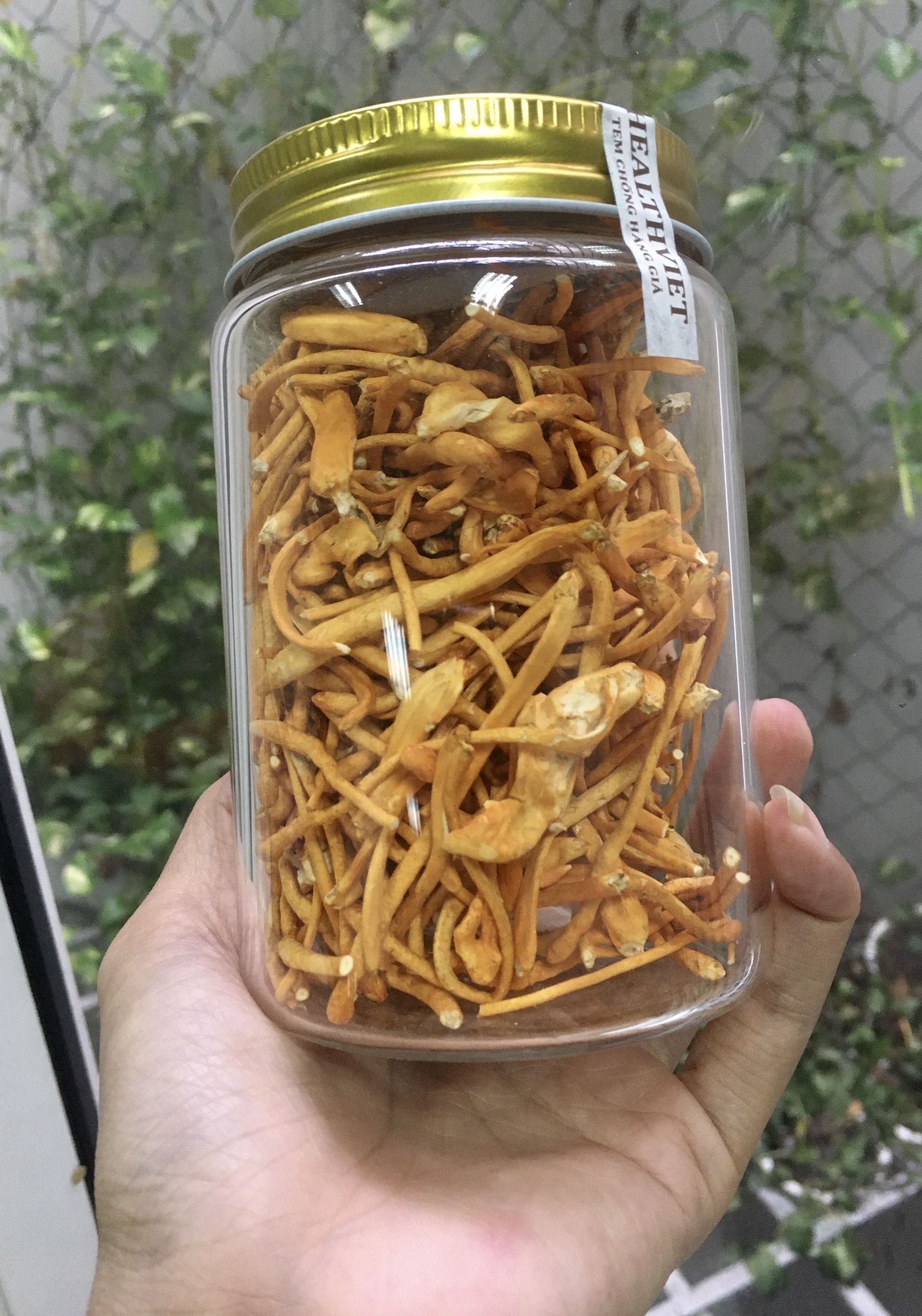 Đông Trùng Hạ Thảo HEALTHVIET L3 - 20g