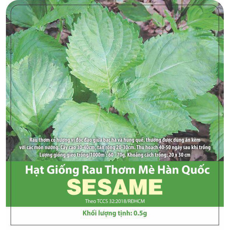 Hạt Giống Rau Thơm Mè Sesame Hàn Quốc - Gói 0.5g - Dễ Trồng, Hương Vị Độc Đáo VTNN Nông Điền Trang