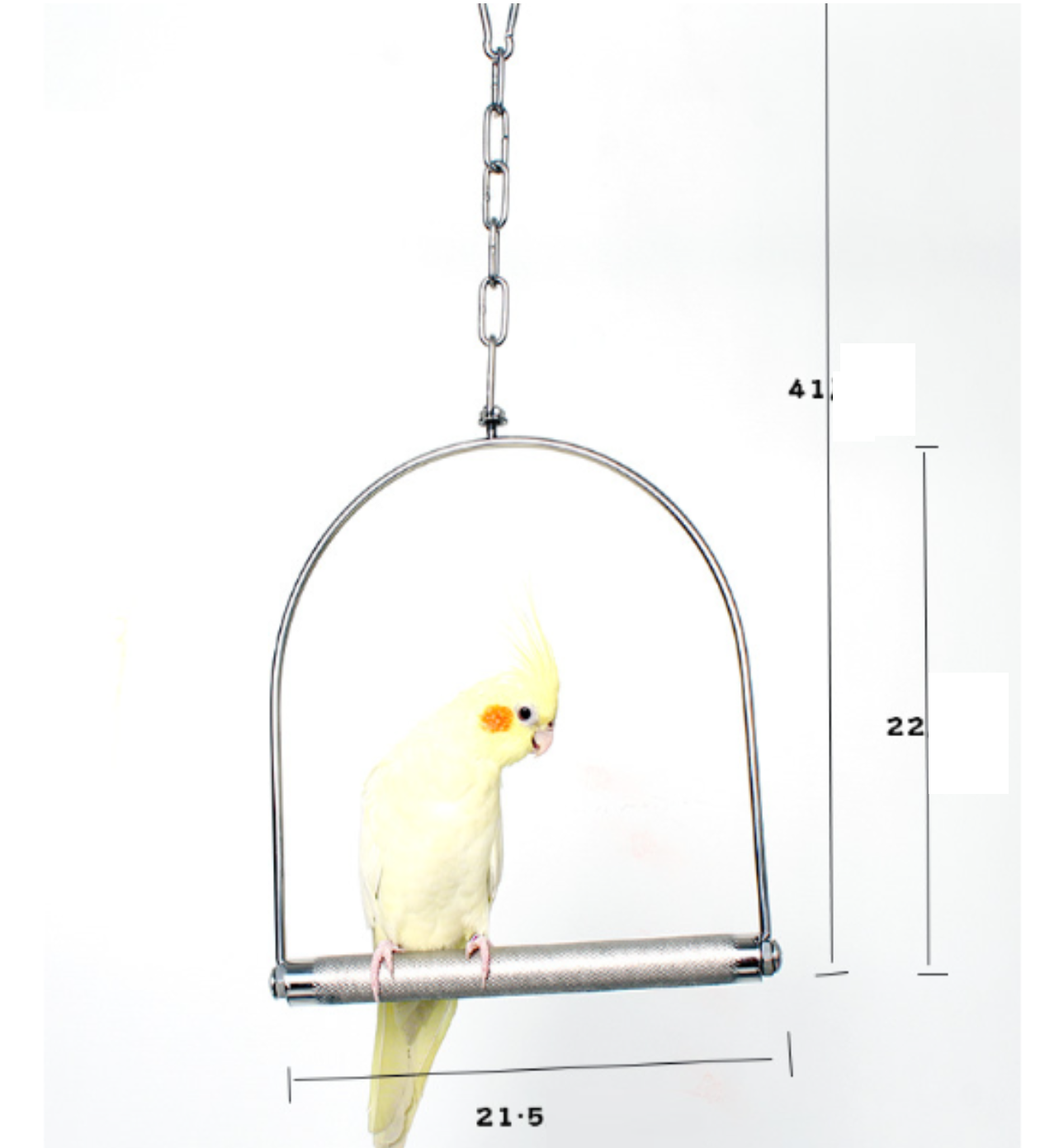 1 xích đu inox cao cấp nhập khẩu (phù hợp cho mọi dòng vẹt)có thanh ngang nhám mài móng
