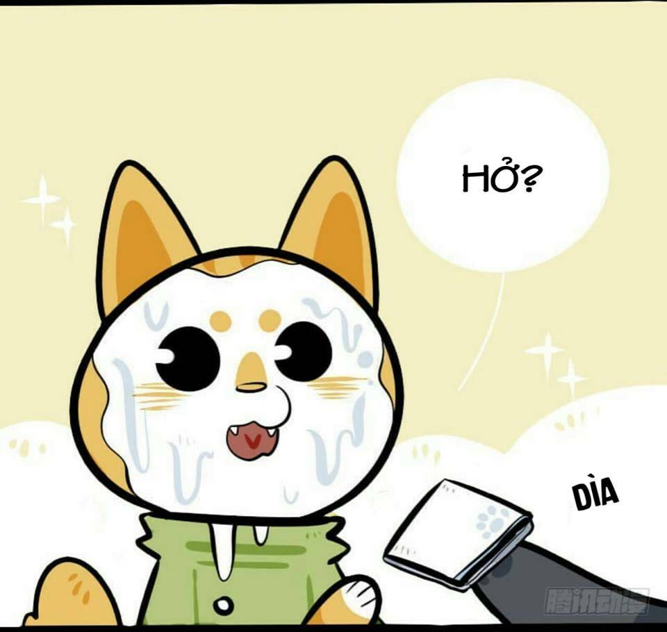 đời không như mình tưởng chapter 2 11