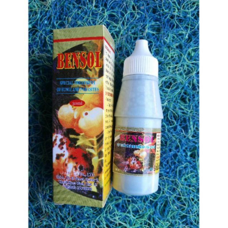 Dung dịch phòng nấm Bensol 30ml - Sử dụng cho cá cảnh